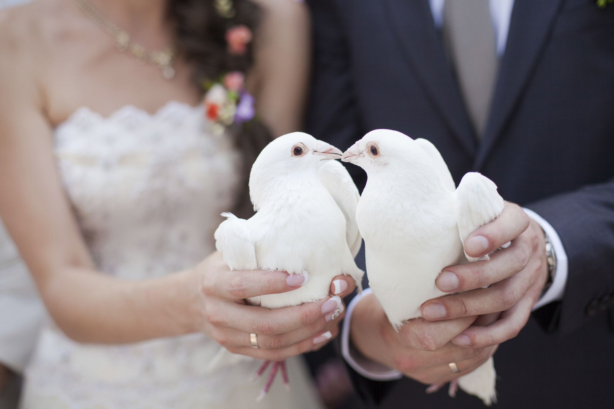 Wedding Doves